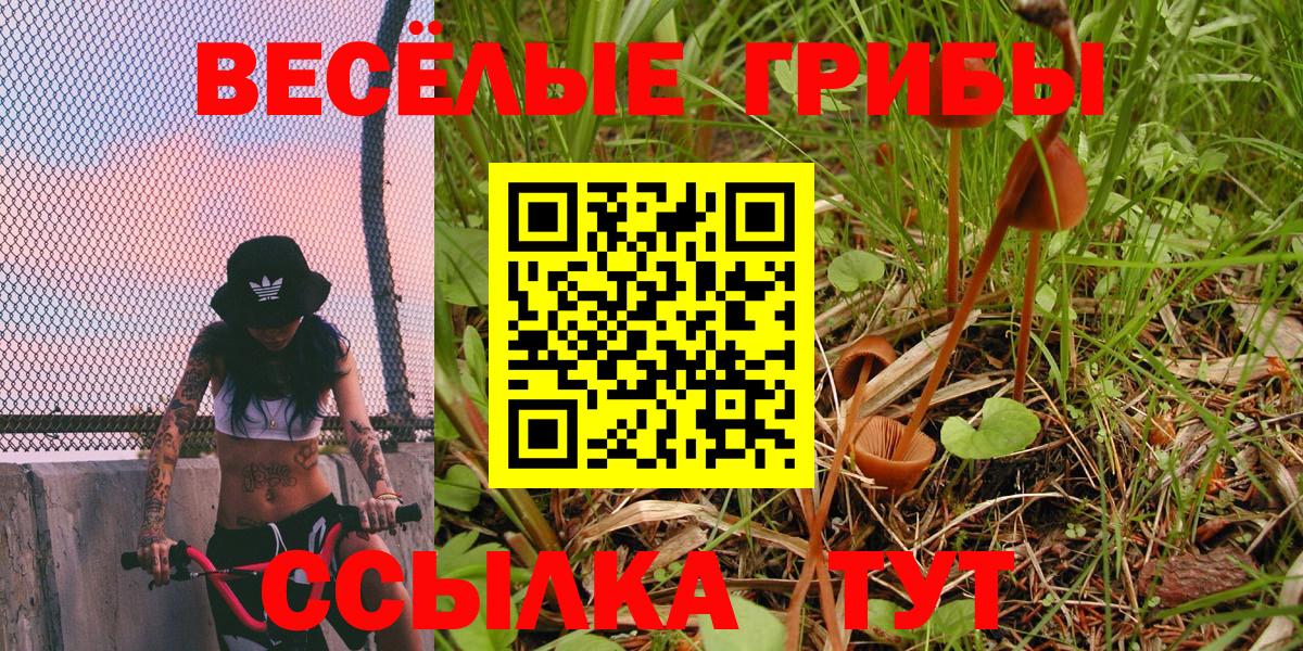 Галлюциногенные грибы GOLDEN TEACHER  Псилоцибиновые грибы Magic Shrooms  Благодарный  цены наркотик  Вход с VPN 